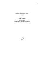 Referāts 'Tiesu sistēma', 1.