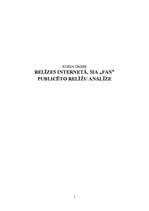 Referāts 'Preses relīzes internetā', 1.