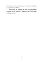 Referāts 'Preses relīzes internetā', 11.