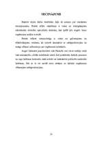 Referāts 'Preses relīzes internetā', 14.