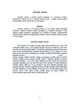 Referāts 'Baltu grupas dzīvās valodas', 5.