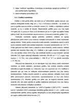 Referāts 'LiFePO4 litija jonu bateriju katodmateriāla analīze un optimizācija', 10.