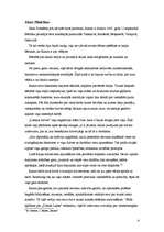 Referāts 'Rainis', 4.