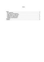 Referāts 'Spriedums kā domāšanas forma', 1.