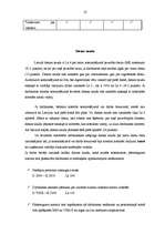 Referāts 'Komandējuma un darba braucieni', 10.