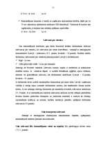 Referāts 'Komandējuma un darba braucieni', 11.