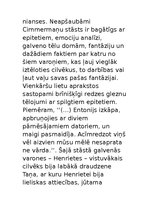 Eseja 'Irēnas un Hansa Gintera Cimmermaņu stāsts "Skūpsti, krīzes, lielās brīvdienas"', 4.