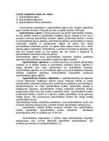 Referāts 'Apdrošināšanas būtība un nepieciešamība', 15.