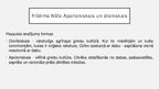 Prezentācija 'Komunikācijas problemātika K.Marksa, Z.Freida, F.Nīčes teorijās', 16.