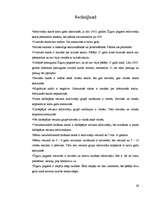 Referāts 'Demogrāfiskā stāvokļa rādītāji Žīguru pagastā no 1994. līdz 2007.gadam', 29.