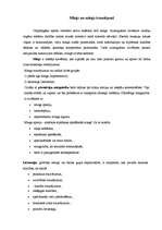 Konspekts 'Miegs un sāpes', 2.