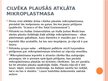 Prezentācija 'Mikroplastmasa cilvēka organismā', 20.