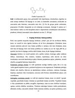 Referāts 'Dopings', 15.