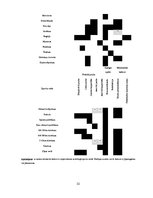 Referāts 'Dopings', 22.