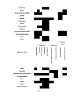 Referāts 'Dopings', 24.