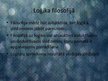 Prezentācija 'Loģika dzīvē un filosofijā', 3.