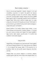 Referāts 'Automašīnu piesārņojums Liepājā. Degvielu apraksti', 8.