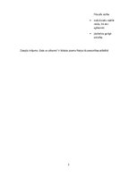 Konspekts 'Raiņa dzejoļu krājuma "Gals un sākums" vainagu raksturojums', 3.