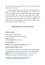 Referāts '1927.gada kinomateriālu analīze', 7.