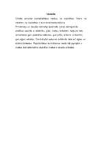 Eseja 'Skaidu briketes', 1.