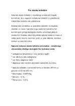 Eseja 'Skaidu briketes', 2.