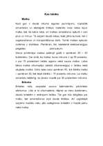 Eseja 'Skaidu briketes', 3.