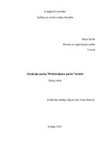 Referāts 'Atrakciju parka “Piedzīvojumu parks” izveide', 1.