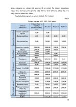 Referāts 'Atrakciju parka “Piedzīvojumu parks” izveide', 14.