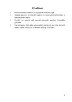 Referāts 'Atrakciju parka “Piedzīvojumu parks” izveide', 31.