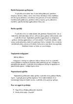 Konspekts 'Vizuālā tēla stilists', 3.