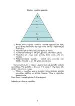 Referāts 'Lekcijas mārketingā', 4.