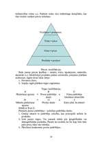 Referāts 'Lekcijas mārketingā', 16.