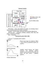 Referāts 'Lekcijas mārketingā', 18.