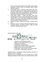 Referāts 'Lekcijas mārketingā', 29.