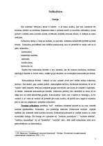 Referāts 'Subkultūra', 1.