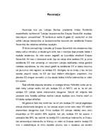 Eseja 'Recenzija par Ilmāra Rimšēviča ievadreferātu konferencē "Latvijas tautsaimniecīb', 1.