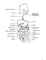 Konspekts 'Gremošana', 6.
