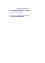 Eseja 'Produktu modernizācija', 6.