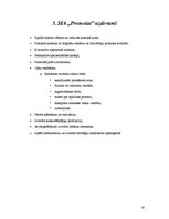 Referāts 'Vairumtirdzniecības problēmas un uzdevumi SIA "Promolat"', 16.