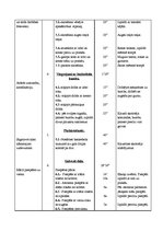 Paraugs 'Sporta stundas konspekts 7.klasei basketbolā', 2.