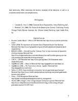 Eseja 'Organizational Culture and Corporate Social Responsibility', 6.