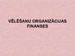 Referāts 'Vēlēšanu organizācijas finanses', 13.