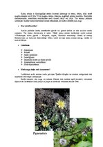 Referāts 'Ārstniecības augi', 3.