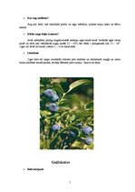 Referāts 'Ārstniecības augi', 5.