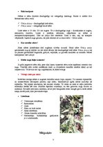 Referāts 'Ārstniecības augi', 8.
