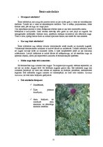 Referāts 'Ārstniecības augi', 10.