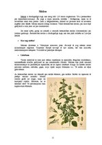 Referāts 'Ārstniecības augi', 15.