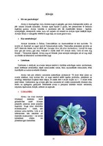 Referāts 'Ārstniecības augi', 16.