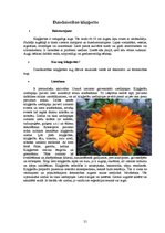 Referāts 'Ārstniecības augi', 21.