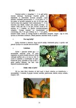 Referāts 'Ārstniecības augi', 22.